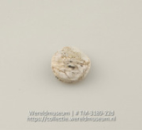Schijfje van schelp (Collectie Wereldmuseum, TM-3189-22d)