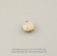 Schijfje van schelp (Collectie Wereldmuseum, TM-3189-22g)