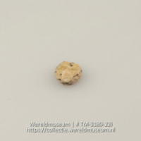 Schijfje van schelp (Collectie Wereldmuseum, TM-3189-22i)