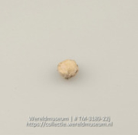 Schijfje van schelp (Collectie Wereldmuseum, TM-3189-22j)