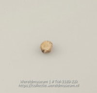 Schijfje van schelp (Collectie Wereldmuseum, TM-3189-22k)