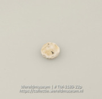 Schijfje van schelp (Collectie Wereldmuseum, TM-3189-22p)