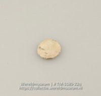 Schijfje van schelp (Collectie Wereldmuseum, TM-3189-22q)