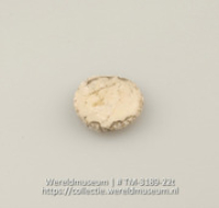 Schijfje van schelp (Collectie Wereldmuseum, TM-3189-22t)