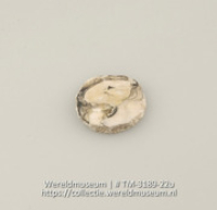 Schijfje van schelp (Collectie Wereldmuseum, TM-3189-22u)