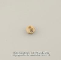 Schijf van schelp met 2 gaatjes, vermoedelijk een knoop of kraal (Collectie Wereldmuseum, TM-3189-23b)
