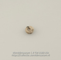 Schijf van schelp met 2 gaatjes, vermoedelijk een knoop of kraal (Collectie Wereldmuseum, TM-3189-23c)