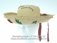 Gevlochten hoed van Panamastro met vilten versiering (Collectie Wereldmuseum, TM-3325-32)