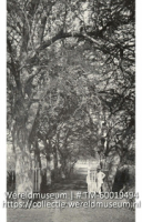 Entree d'une plantation {Zuurzak}; Toegang tot plantage Zuurzak (Collectie Wereldmuseum, TM-60019494), Soublette et Fils; Robert Soublette