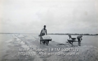 Zoutwinning op Bonaire, vervoer van het zout; Zoutwinning, met behulp van kruiwagens wordt het zout verzameld (Collectie Wereldmuseum, TM-60047577)