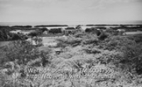 Otrabanda Leprozen gesticht, Zakito Piscadera weg. Melaatsengesticht Zaquito, K.J.G.; De leprozerie Zaquito (Collectie Wereldmuseum, TM-60047596)