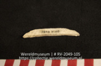 Schelp (Collectie Wereldmuseum, RV-2049-105)