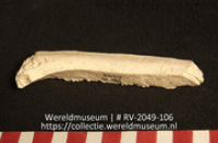 Schelp (Collectie Wereldmuseum, RV-2049-106)