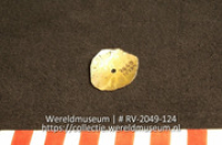 Schelp (Collectie Wereldmuseum, RV-2049-124)