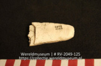 Werktuig van schelp (Collectie Wereldmuseum, RV-2049-125)