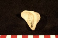 Zemi (Collectie Wereldmuseum, RV-2049-1357)