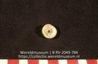 Schelp (Collectie Wereldmuseum, RV-2049-784)