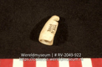 Schelp (Collectie Wereldmuseum, RV-2049-922)