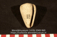 Kraal (Collectie Wereldmuseum, RV-2049-960)