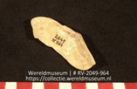 Schelp (Collectie Wereldmuseum, RV-2049-964)