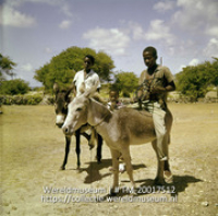 Twee jongens op hun ezeltjes.; Twee jongens op hun ezel (Collectie Wereldmuseum, TM-20017512), Lawson, Boy