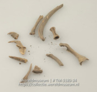 10 beenfragmenten , vermoedelijk van een vis (Collectie Wereldmuseum, TM-3189-24)