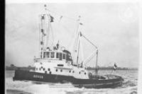 Tug Boat 