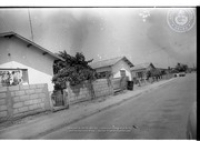 Basiruti, Hospital & Volkswoning, Image # 1, BUVO