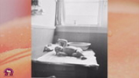 Familie Album 1954-1958, Fotoserie Familie Kamsteeg, Kamsteeg, Joop