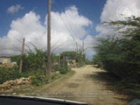 Route 72: Yuwana Morto, 2017-12-31 (Proyecto Snapshot), Archivo Nacional Aruba