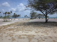 Route 73: Bushiri, 2018-04-20 (Proyecto Snapshot), Archivo Nacional Aruba