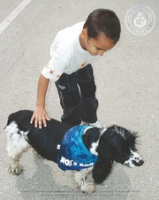 Animal lovers can have fun today and help Animal Right Aruba protect the island's stray dogs and cats!, image # 3, The News Aruba