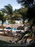 Holiday Inn, New Swimming Pool, image # 1, The News Aruba