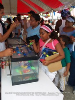 Fiesta Rotaria provides fun, food and bargains for April Fool's Day, image # 33, The News Aruba