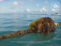 Sea Solutions provides safety and education for regarding Aruba's coastline environment, image # 11, The News Aruba