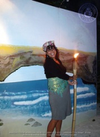 The Caribbean Tourism Conference 27: The Business of Making Dreams Come True, image # 25, The News Aruba