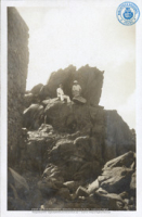 Fotoalbum 'Van Wamelen' 1933-1939, Aruba 1933 (foto # 003), Van Wamelen, Maarten