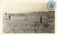 Fotoalbum 'Van Wamelen' 1933-1939, Noordwestkust Aruba (foto # 026), Van Wamelen, Maarten