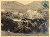 Fotoalbum 'Van Wamelen' 1933-1939, Curacao 1935 (foto # 068), Van Wamelen, Maarten