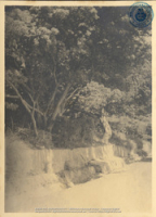 Fotoalbum 'Van Wamelen' 1933-1939, Curacao 1935 (foto # 071), Van Wamelen, Maarten