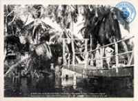 Fotoalbum 'Van Wamelen' 1933-1939, Maracaibo (foto # 098), Van Wamelen, Maarten