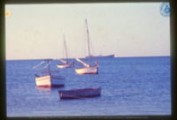 Fishing Boats, Noord, Aruba, Aruba Tourism Bureau