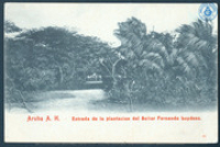 Aruba A.H. Entrada de la plantacion del Señor Fernando Luydens, Array