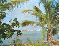 Beeldcollectie BNA, #006-040 - Playa - Oranjestad