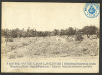 Plantage. Foto Soublette et Fils, Curaçao (ca. 1900-1920)