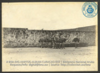 Struisvogelpark Albertina, Plantage Choloma, Montaña, Curaçao. Foto Soublette et Fils, Curaçao (ca. 1900-1920), Array