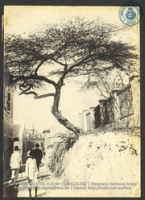 Klipstraat, Otrobanda, Willemstad, Curaçao. Foto Soublette et Fils, Curaçao (ca. 1900-1920), Array