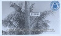 Bonaire, Beeldcollectie Dr. Johan Hartog, no. 034