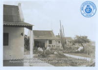Bonaire, Beeldcollectie Dr. Johan Hartog, no. 069
