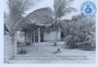 Bonaire, Beeldcollectie Dr. Johan Hartog, no. 187